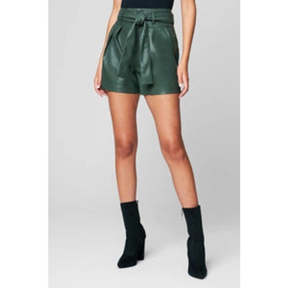 BLANKNYC Faux Leather High Rise Zippered Shorts Tie Front Pockets Size 28 NWT - Picture 2 of 12